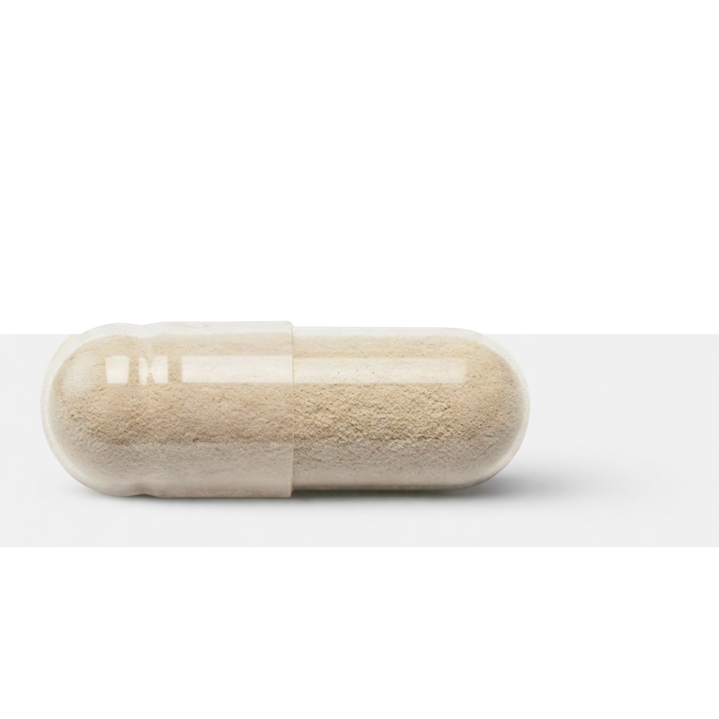 Daily Essentials capsule